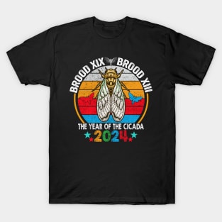 Cicada Tsunami Bugs Brood XIX Brood XIII 13 Year Of The Cicada 2024 T-Shirt